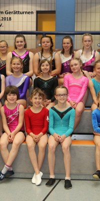 Jahresrückblick Abteilung Gerätturnen 2018 - 1_1_e6c61b430169d72121c8ee14286f5b17