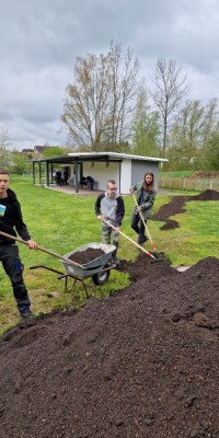 Arbeitseinsatz mit 53 Volleyballern auf der Beachanlage - 20230429_094532_resized_2_2f7ace544bf3b492424f64255e9cc767