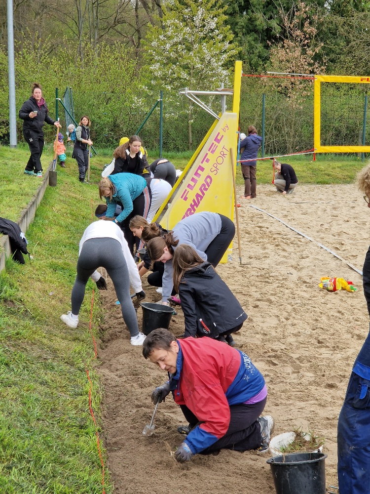 Arbeitseinsatz mit 53 Volleyballern auf der Beachanlage