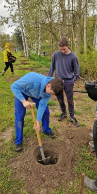 Arbeitseinsatz mit 53 Volleyballern auf der Beachanlage - 20230429_111108_resized_1_4ff6bb6464e4b4c89976744bda264594