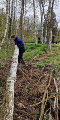 Arbeitseinsatz mit 53 Volleyballern auf der Beachanlage - 20230429_112836_resized_1_25b884fe56b1c5ee6c7d75416a463de8