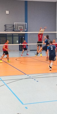 Das Beste kommt zum Saisonende - 20250329_134426_008_saved_7e14781c2f7dbf6a1dbc6242fa84bc5e