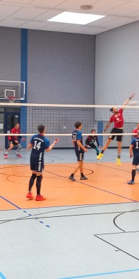 Das Beste kommt zum Saisonende - 20250329_134509_010_saved_4aeb0c76e90b29a4d3bd02198c049d27