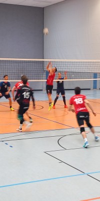 Das Beste kommt zum Saisonende - 20250329_142234_014_saved_97644bd3b8a883ae04e53e17b0f1cc9c