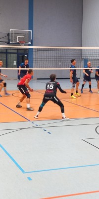 Das Beste kommt zum Saisonende - 20250329_142345_006_saved_d8a49254aedc40bffac584f808149767