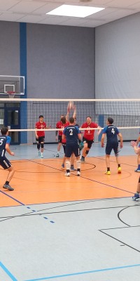 Das Beste kommt zum Saisonende - 20250329_142822_019_saved_8c79e8d5b3b9d73d463b18893d92f9ea