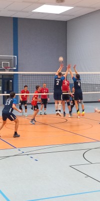 Das Beste kommt zum Saisonende - 20250329_142822_024_saved_edc14a8767186c12858a0c047d3c6dce