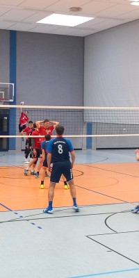 Das Beste kommt zum Saisonende - 20250329_143034_004_saved_309d3a6a994ec45dc5e281175005b31c