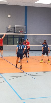 Das Beste kommt zum Saisonende - 20250329_143057_018_saved_1fcf3dd6c72fd790be6706e107e50ba3