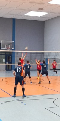 Das Beste kommt zum Saisonende - 20250329_143324_003_saved_3e9a8c254b974e0adaa34fb124acaa56