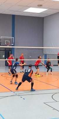 Das Beste kommt zum Saisonende - 20250329_143324_010_saved_2c2c4ecffa1419fdfc551528273d61f0