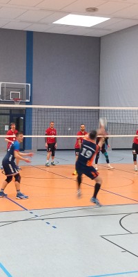 Das Beste kommt zum Saisonende - 20250329_143324_013_saved_49fddf21dbe0bab9dc87748cdafcbe0e