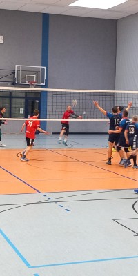 Das Beste kommt zum Saisonende - 20250329_143344_008_saved_c1241ee1ee0c4e568cf9fddf7907d993