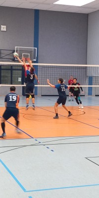 Das Beste kommt zum Saisonende - 20250329_143344_019_saved_8678885b54bf1dedb106b9aaad669107