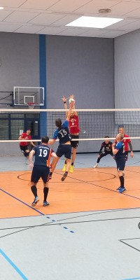 Das Beste kommt zum Saisonende - 20250329_143457_005_saved_99620ee9f308db9b151921da0d0681a8