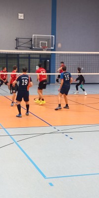 Das Beste kommt zum Saisonende - 20250329_143514_8e1339641689d2b4dd36ca8537833dff