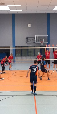 Das Beste kommt zum Saisonende - 20250329_150723_008_saved_9f8eea19fa6cb94f61765383273fde43