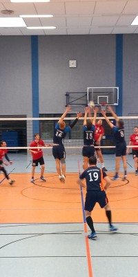 Das Beste kommt zum Saisonende - 20250329_150723_027_saved_13026d5d40e391e84c6bebff2fdfc6c2