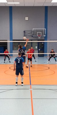 Das Beste kommt zum Saisonende - 20250329_150931_019_saved_8adff93bd892c45680e7d0cdf2f6ea44