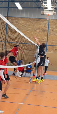 Ran ans Netz 2025 - 20250615_115021_013_saved_6bd94c9e5c6295512c153b3273f7a36e