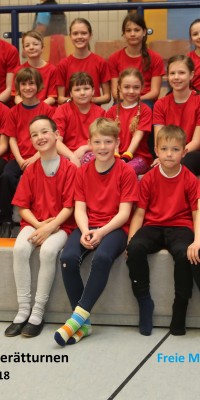 Kreisjugendspiele Gerätturnen 2018 - 6_caab02f2d8862197a1745a8239251682