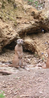 Parcour Camburg #2 - CIMG4767_14c8804711b749caa4cecde9849f067f