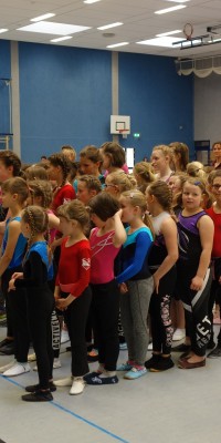 Kreisjugendspiele Gerätturnen 2018 - DSC08075_a7479bf20fbff9cf1f98be7e06054100