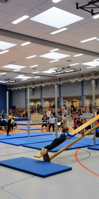 Kreisjugendspiele Gerätturnen 2018 - DSC08080_2c8de1e39c6f4f92c0c3e08f26b07448