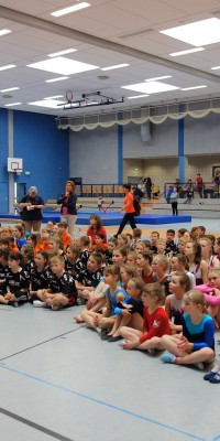 Kreisjugendspiele Gerätturnen 2018 - DSC08095_a6626c999cbec8c21b8d0685c6c15894