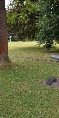 Lehrreiches Judotrainingswochenende im Teehaus - Foto_16_dfb2925508ed270c7e3185274b719eff
