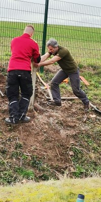 Arbeitseinsatz  - IMG-20240320-WA0002_680675ed093e11c09412076dadeeed7d