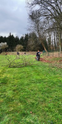 Arbeitseinsatz  - IMG-20240320-WA0023_457b74a4033e1b54f8b165c2fb42a165