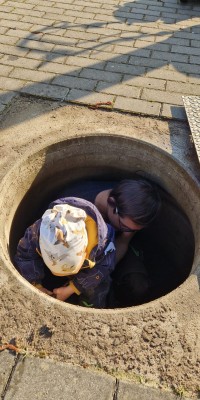 Beachaufbau und Trikottag - IMG-20250405-WA0002_3b46f5291f1e28dbaa5dcc398424a0d1