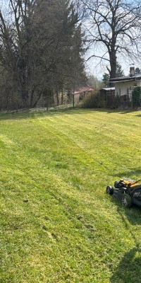 Beachaufbau und Trikottag - IMG-20250405-WA0017_d03428feb422306309a5d227167e2c25