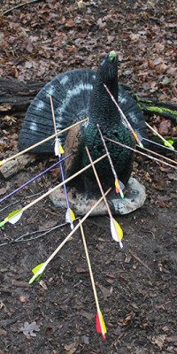 Parcour Camburg - IMG_1109_78f3cbcfe22b9bcb680f3d491eed57fd