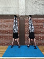 Abteilung Gerätturnen - IMG_20240206_163827936_7905dceb9289f4709a7aa2b292e0a931