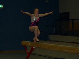 Abteilung Gerätturnen - P1180477_073b4a1c212bbc5c8c85ab0f9dbe7724
