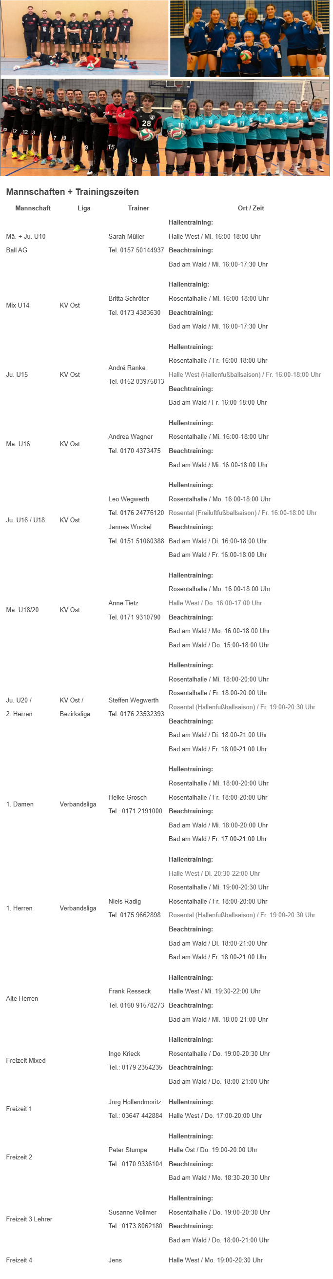 Abteilung Volleyball