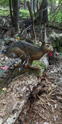 Besuch auf dem 3D-Parcours - WhatsApp_Bild_2024-05-27_um_09.17.01_99bde0e9_6e8746f7ab438b7c3816fee92683158a