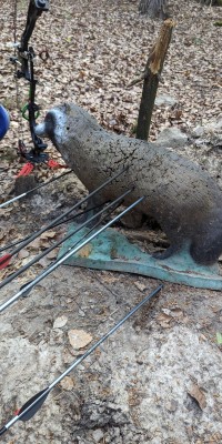 Besuch auf dem 3D-Parcours - WhatsApp_Bild_2024-05-27_um_09.17.01_fedc2982_70660bdcb26f3b4c1c5b2096439a130c