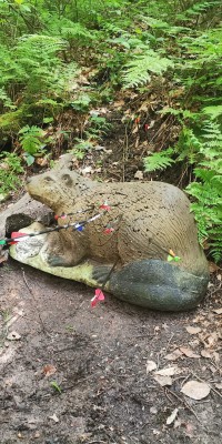 Besuch auf dem 3D-Parcours - WhatsApp_Bild_2024-05-27_um_09.17.04_8a39afbe_8f2a688e492950828e2a6dd2a5427f2e