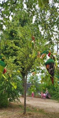 Fröhlicher Abschluss vor der Sommerpause - Zuckertutenbaum_2957651772ca0993b341d73960f9d426