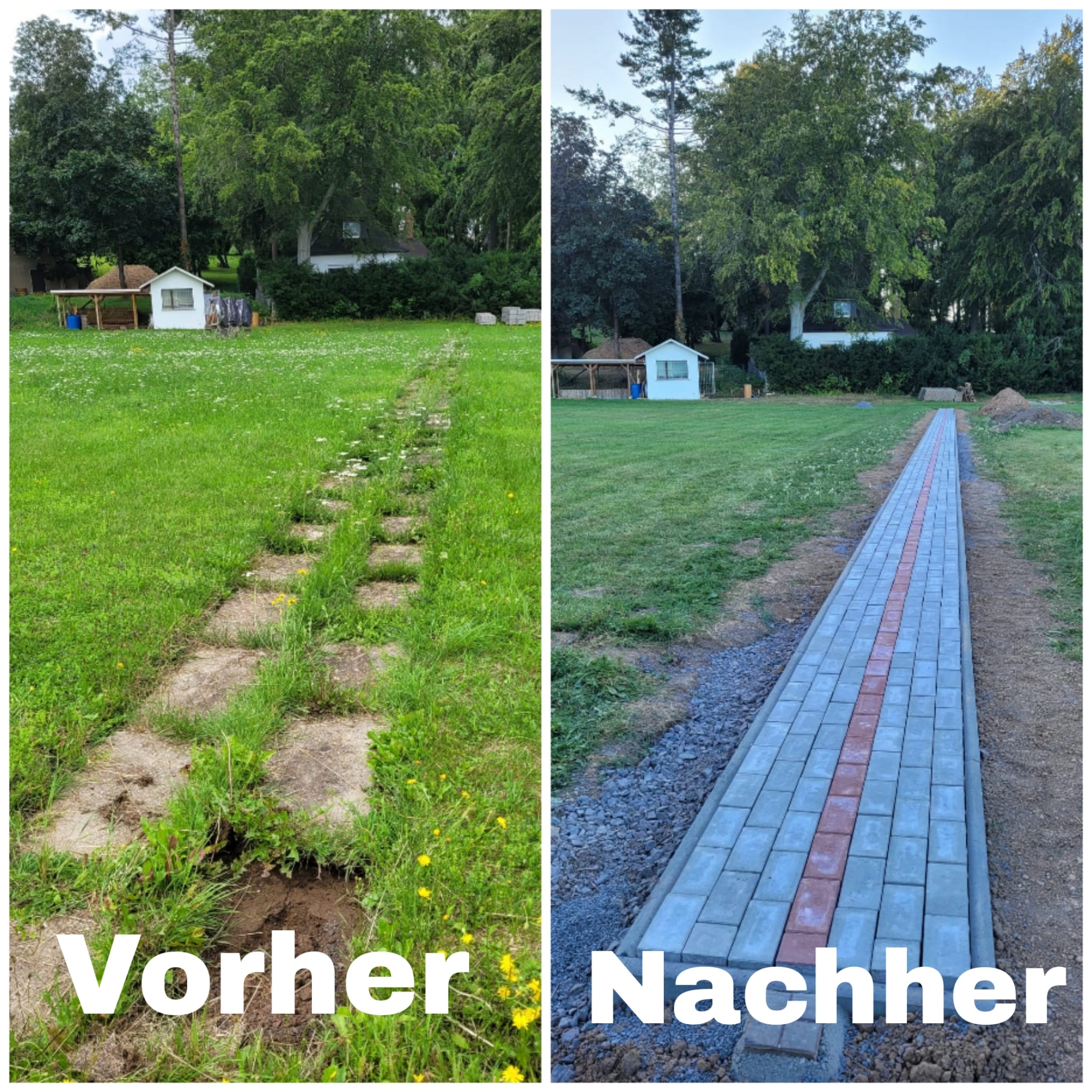 Erneuerung der Schützenlinie